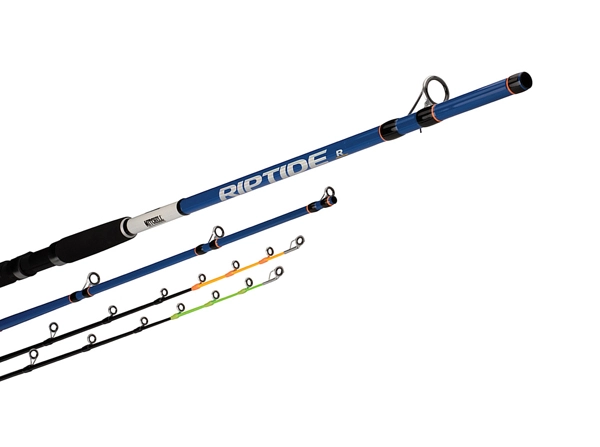 Mitchell Rod Riptide R 212 100/300 Dorade - Afbeelding 2