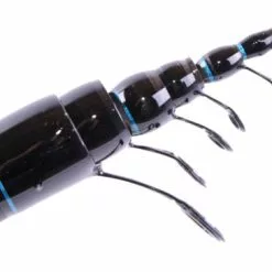 Sensas Bolo Drava - Carpe - 5m